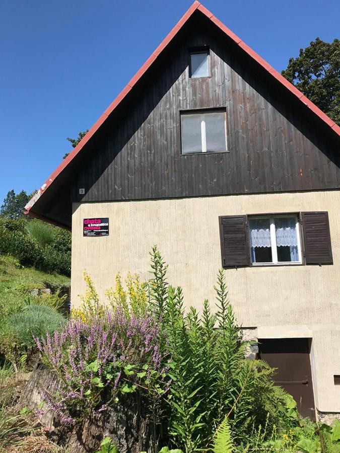 Chata U Koupaliste Chřibská Eksteriør bilde